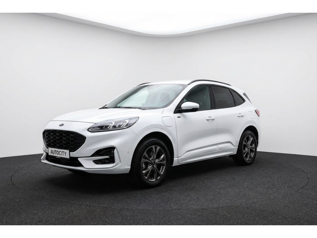 49795602