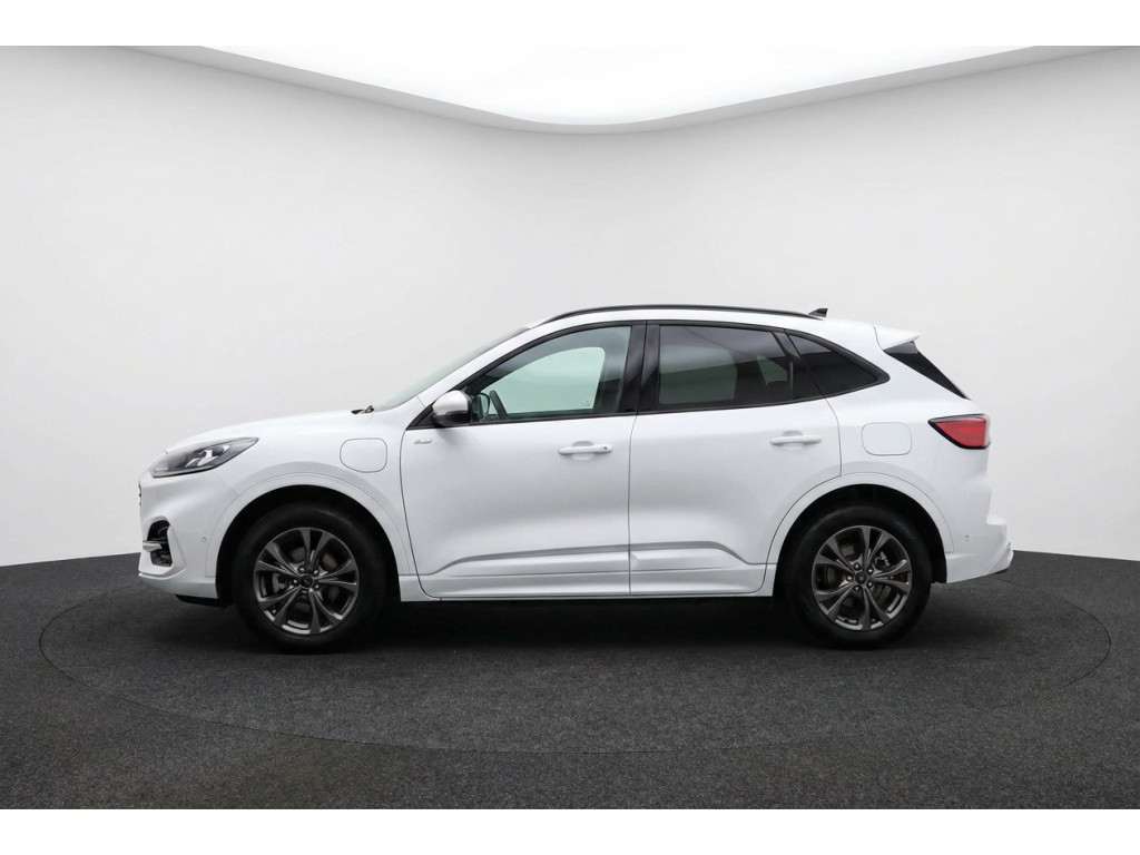 49795602-1.jpg
