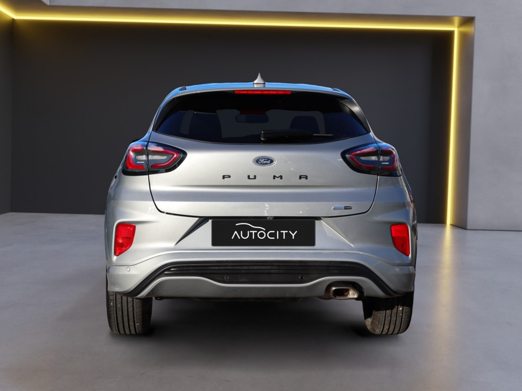 50442336-3.jpg