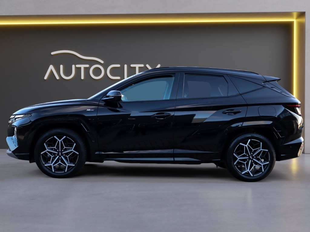 50475782-1.jpg