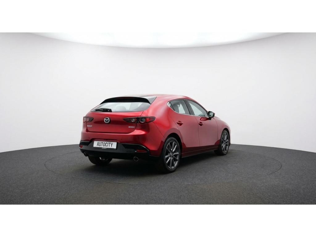 52857251-1.jpg