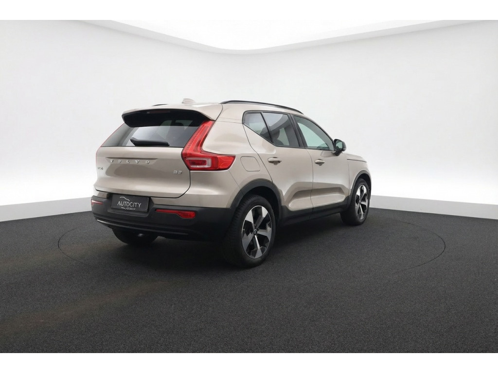 53025245-2.jpg