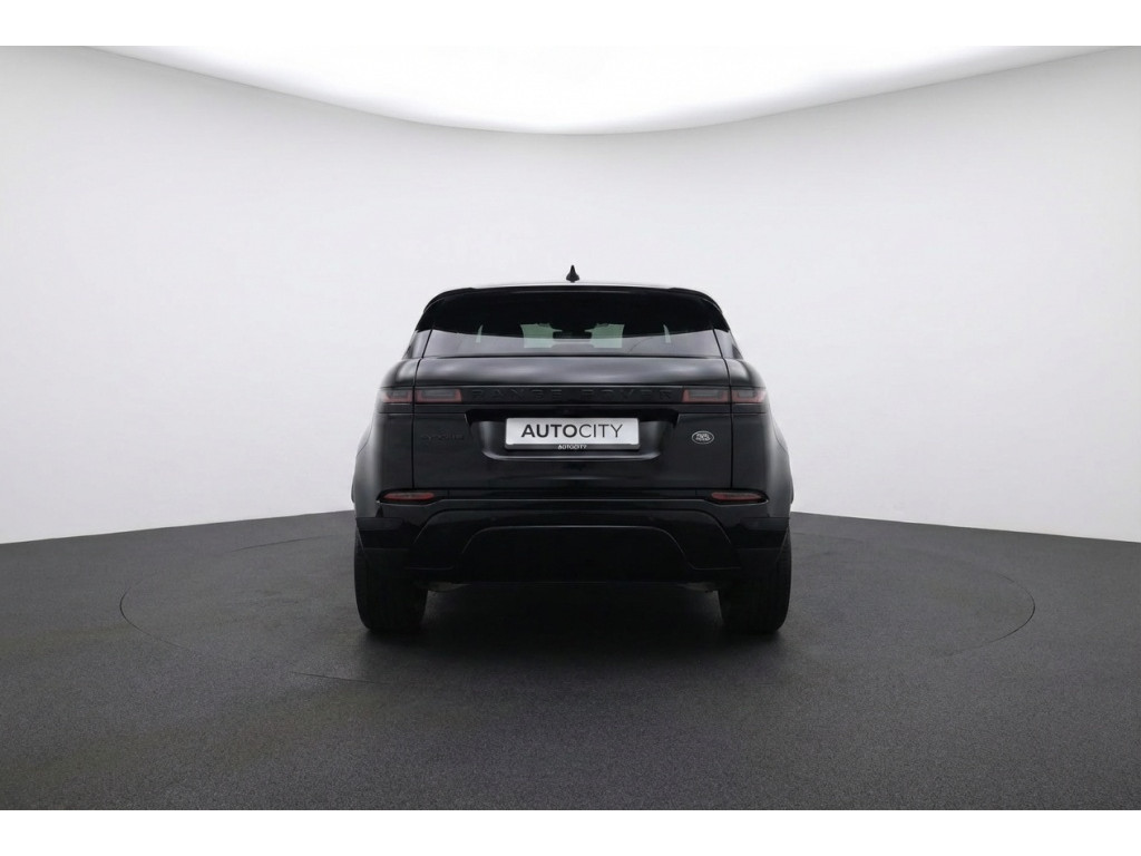 53053499-2.jpg