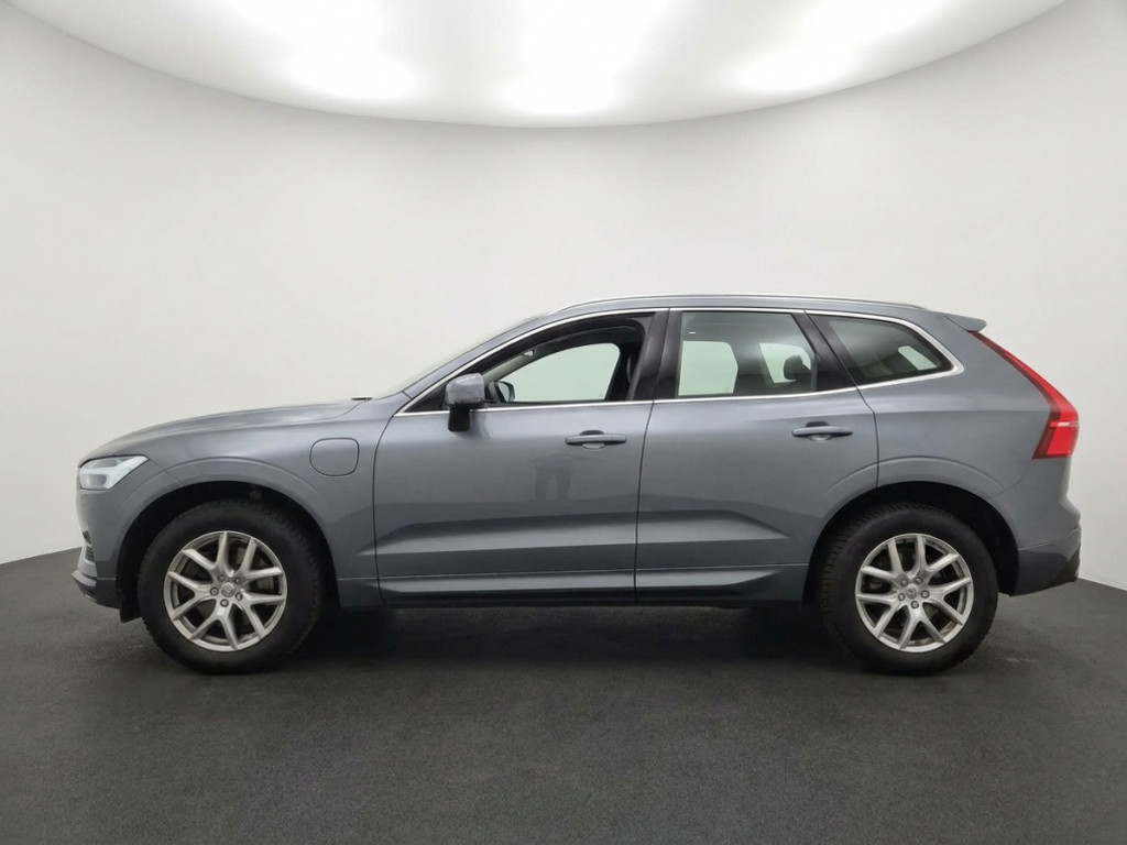 54242752-1.jpg