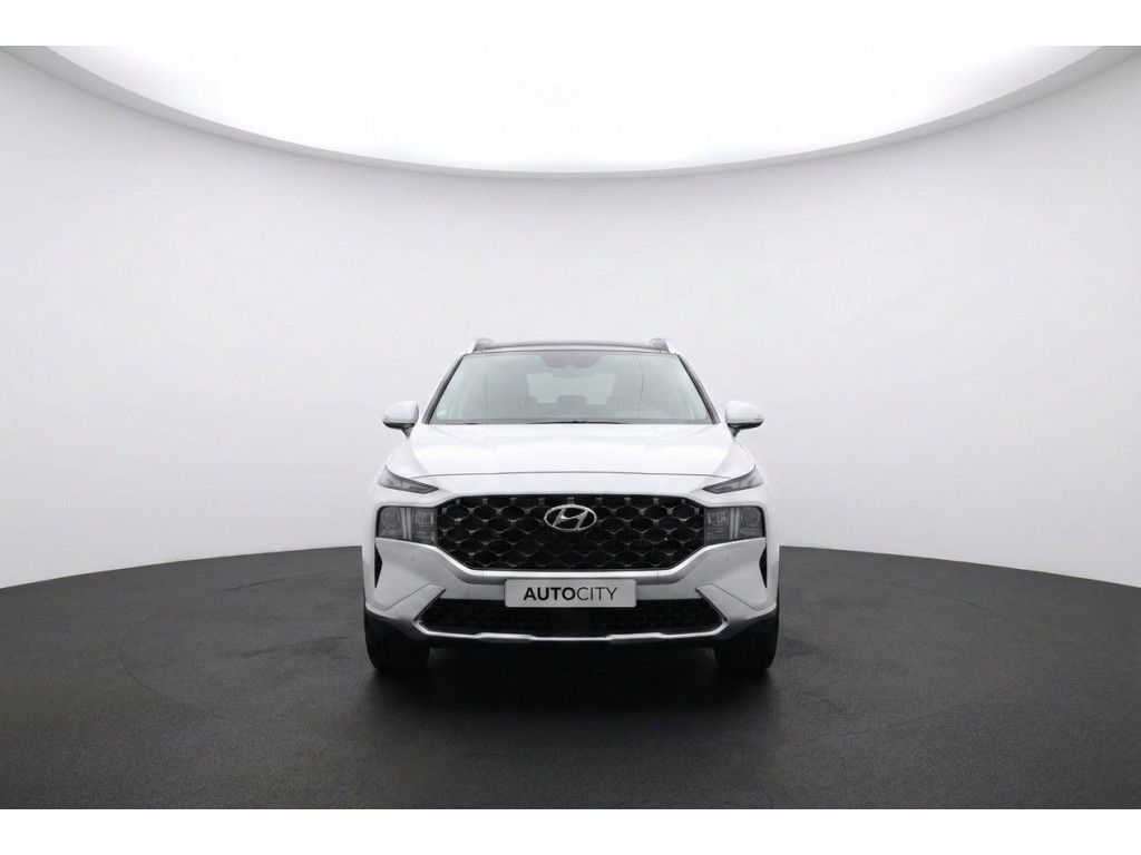54421853-3.jpg