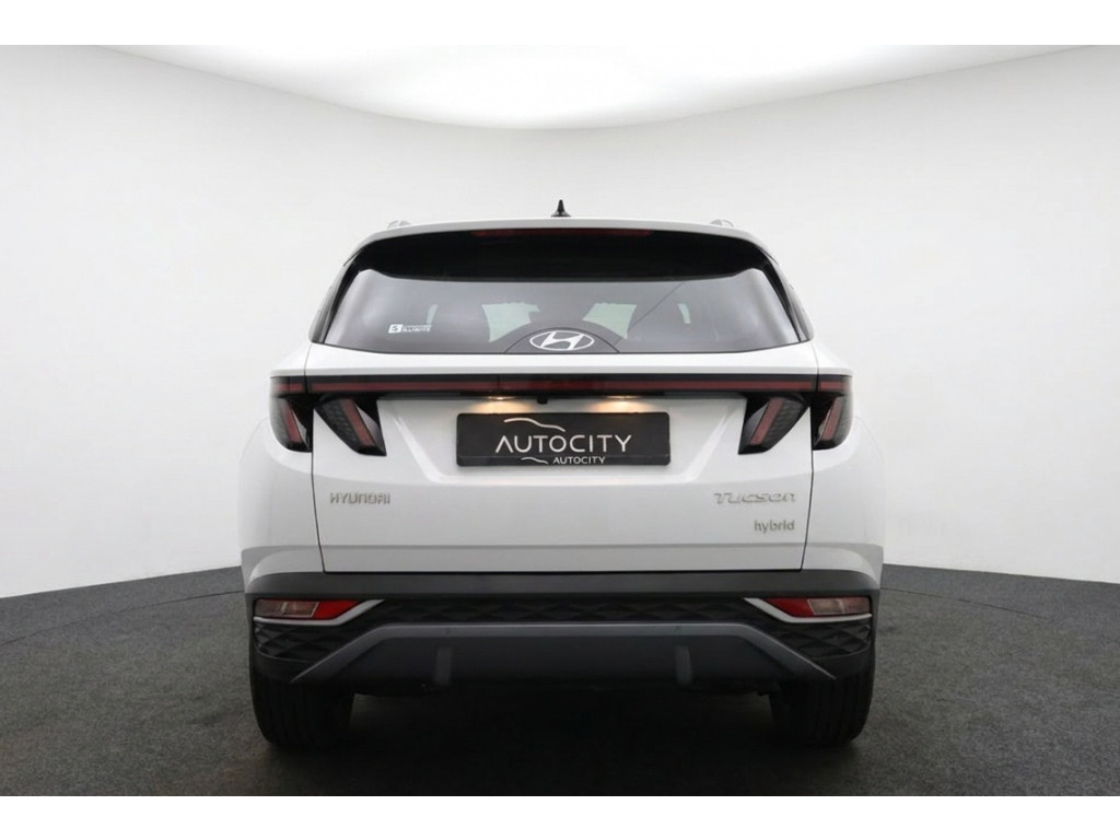54970908-3.jpg