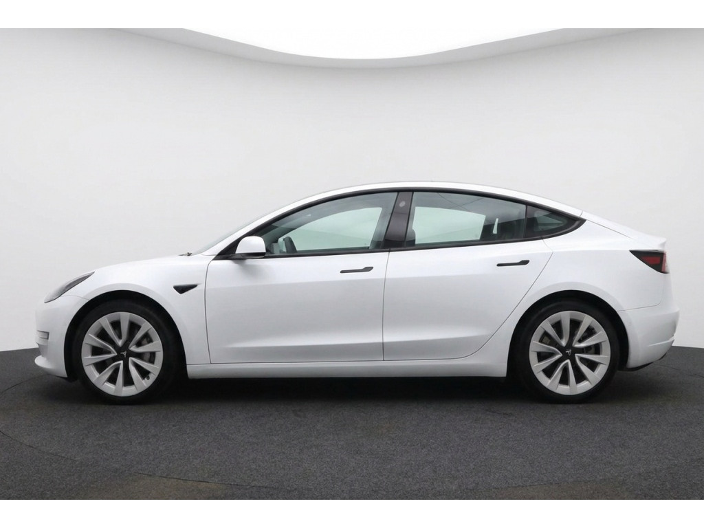 55520002-1.jpg