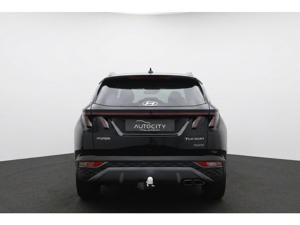 55529258-3.jpg