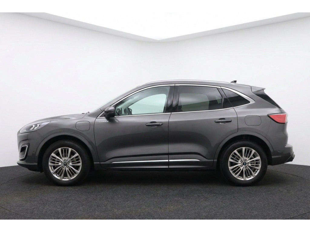 56542736-1.jpg
