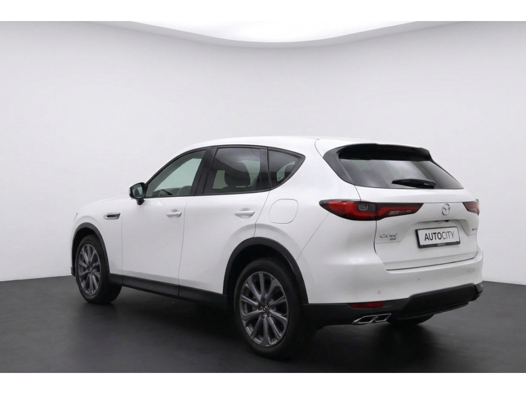 57371265-2.jpg